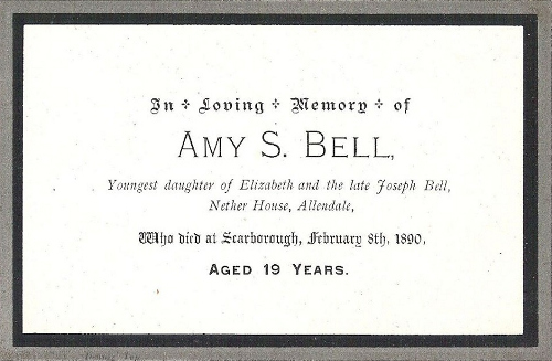 Memory Card - Amy S. Bell